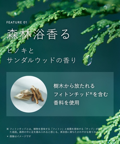 BOTANIST（ボタニスト） ボディソープ 「新モデル」BOTANIST