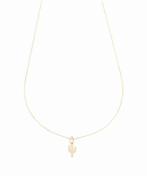 AP STUDIO ネックレス 「NEW TOP JEWELRY/ニュートップ