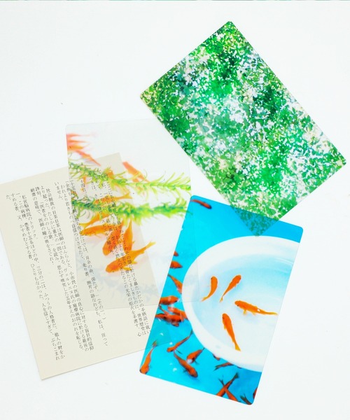HIGHTIDE（ハイタイド） 本 Transparent Photo Bookmark 透明写真栞