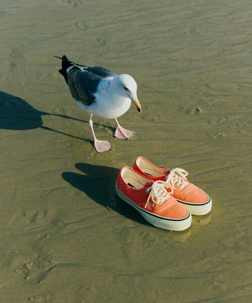 VANS（ヴァンズ） スニーカー VANS / VANS For BEAMS BOY Authentic