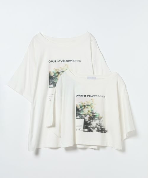 JEANASIS（ジーナシス） tシャツ 「選べる着丈」brightフォト 