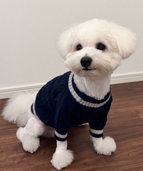 わんちゃん　お揃いニット CIAOPANIC TYPY（チャオパニックティピー） 犬 服 「ドッグウェア」お