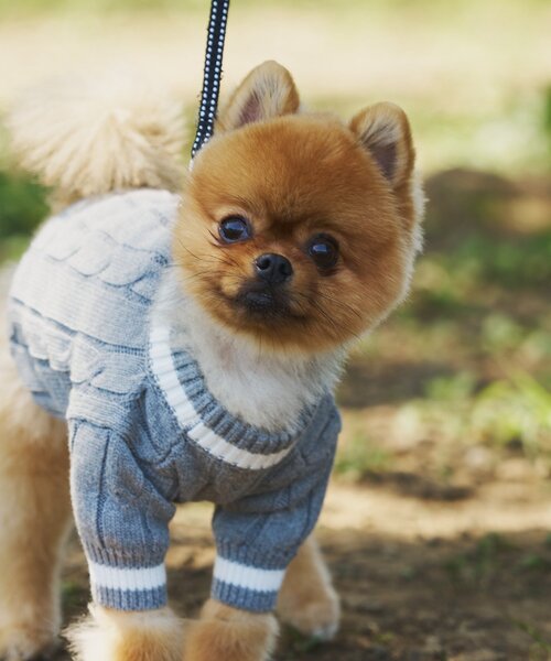 CIAOPANIC TYPY（チャオパニックティピー） 犬 服 「ドッグウェア」お