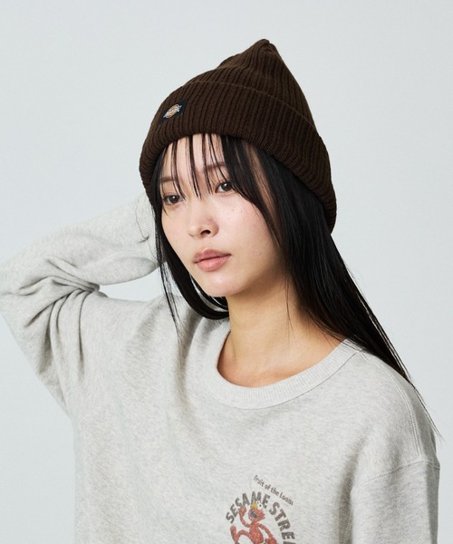Dickies（ディッキーズ） ニット帽 ニットキャップ 「Dickies
