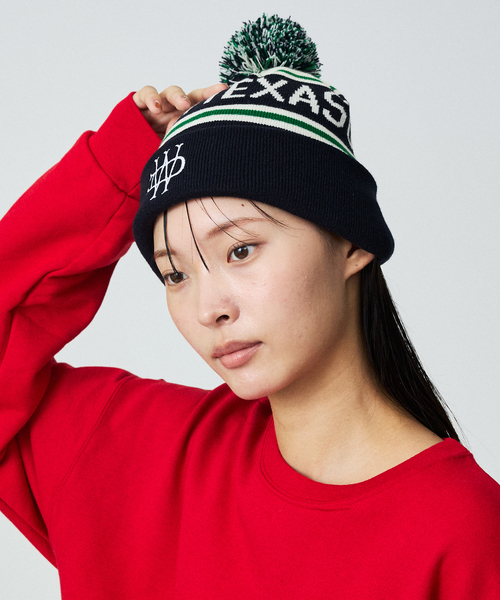 Dickies（ディッキーズ） ニット帽 ニットキャップ 「Dickies