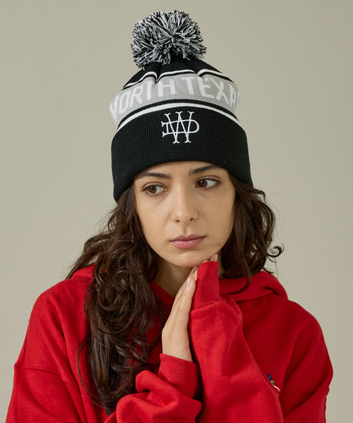 Dickies（ディッキーズ） ニット帽 ニットキャップ 「Dickies