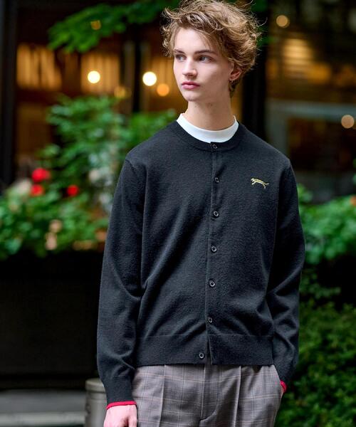 DRESSTERIOR（ドレステリア） カーディガン 「Monomax11月号掲載