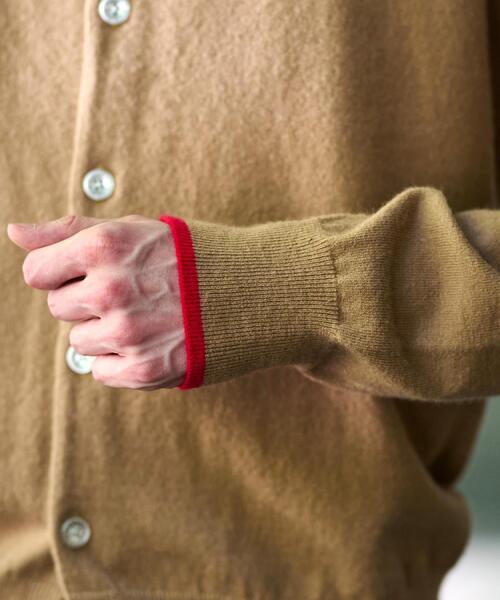 DRESSTERIOR（ドレステリア） カーディガン 「Monomax11月号掲載