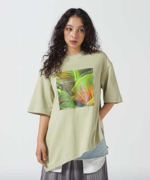 「AULA AILA」 半袖Tシャツ 0 ライム レディース_画像6