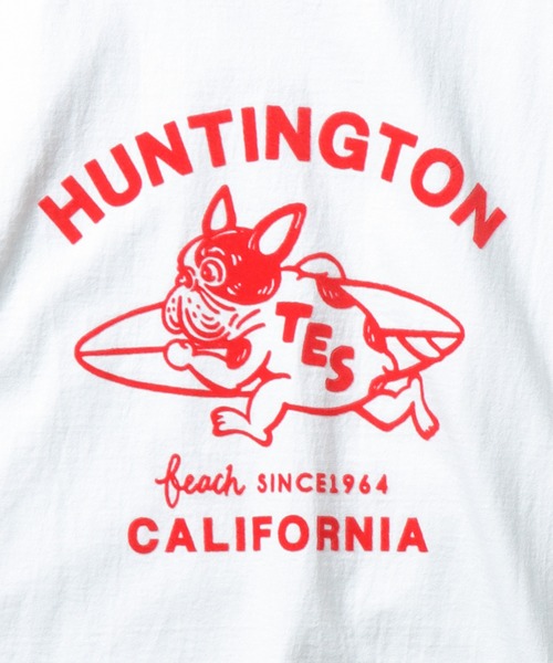 「The Endless Summer」 半袖Tシャツ LARGE グリーン メンズ_画像4