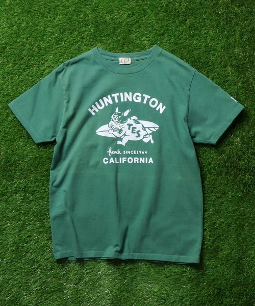 「The Endless Summer」 半袖Tシャツ LARGE グリーン メンズ_画像7