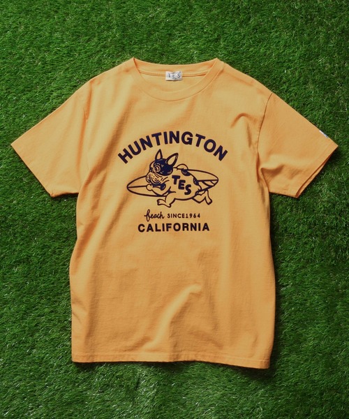 「The Endless Summer」 半袖Tシャツ LARGE グリーン メンズ_画像9