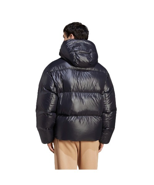 メンズ ダウン   DESCENTE Alterrain81 WGC44 GORE