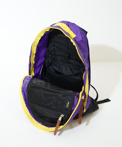 ★美品★　GREGORY　グレゴリー　ファインディ／パープル GREGORY デイバック リュック ファインデイ V2 FINE DAY グレー