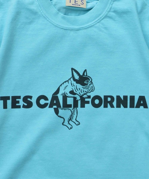 The Endless Summer tシャツ 「WEB / FLAG SHOP限定」TES