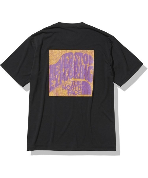 「THE NORTH FACE」 半袖Tシャツ LARGE グレー メンズ