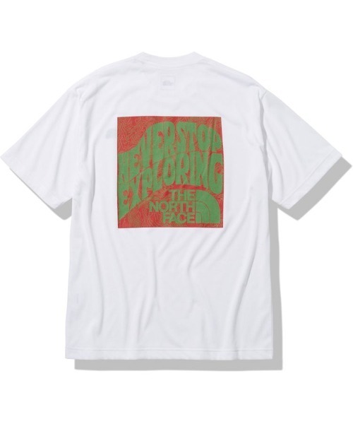 「THE NORTH FACE」 半袖Tシャツ LARGE グレー メンズ