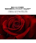 ファンデーション ティルティル tirtir ...の詳細画像5
