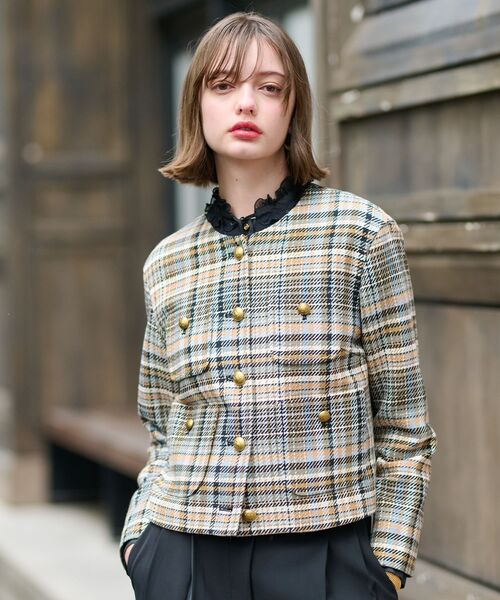 DRESSTERIOR（ドレステリア） ジャケット ノーカラージャケット 「上品