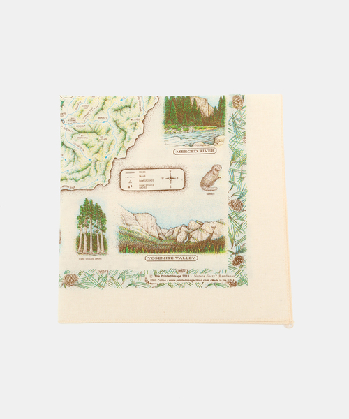 FRAMeWORK スカーフ バンダナ The Printed Image YOSEMITE