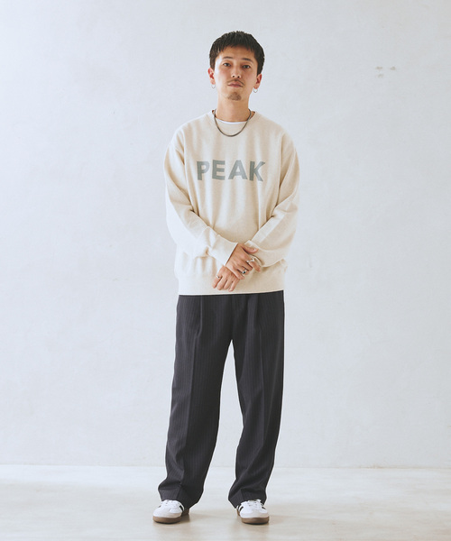 「Snow Peak」 スウェットカットソー MEDIUM ブラック メンズの画像