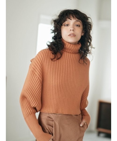 styling/（スタイリング） タートルネックニット FREE ブラウン