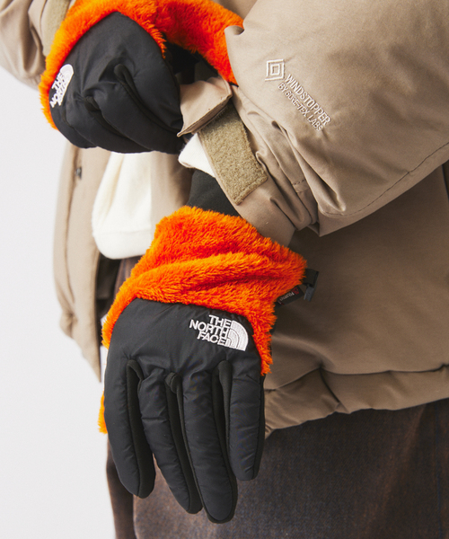 THE NORTH FACE（ザ ノースフェイス） 手袋 デナリイーチップグローブ