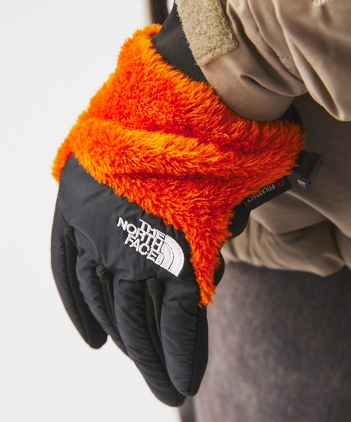 THE NORTH FACE（ザ ノースフェイス） 手袋 デナリイーチップグローブ