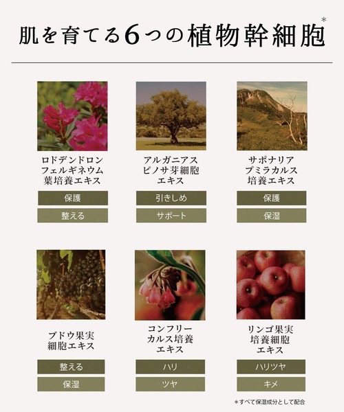 LOWENA スキンケアセット ロウェナ lowena 3点セット ローション