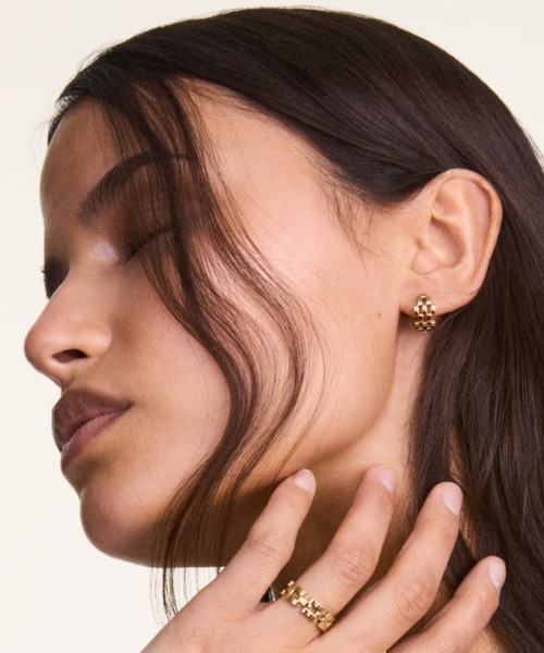 Daniel Wellington ピアス 5-Link Earrings レーディスピアス