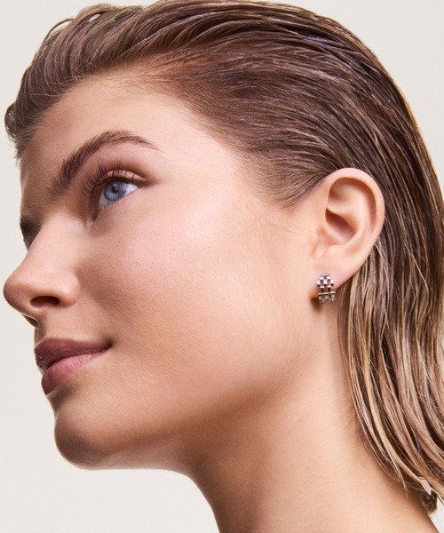 Daniel Wellington ピアス 5-Link Earrings レーディスピアス