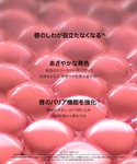 コスメセット コフレ バイオリップ エッセンス...の詳細画像3