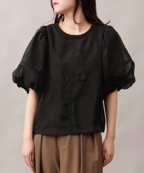 tシャツ シアーシンプルトップス レディース