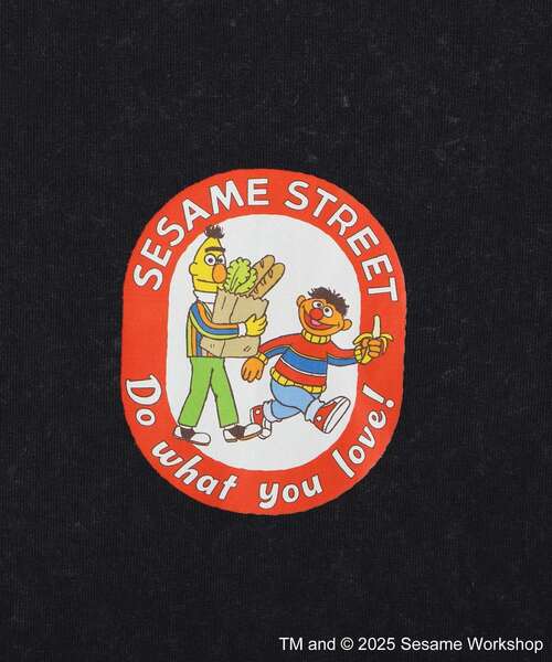 SESAME STREET（セサミストリート） tシャツ アーニーとバート/T