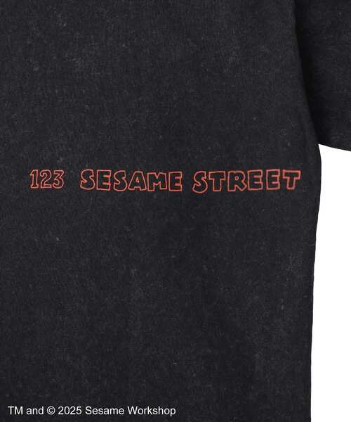 SESAME STREET（セサミストリート） tシャツ アーニーとバート/T