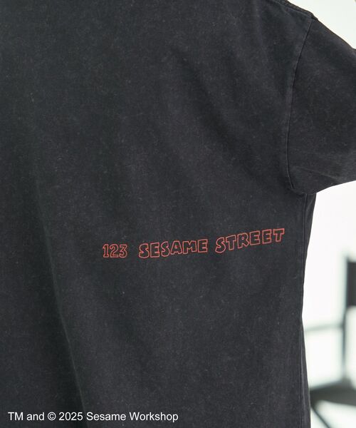 SESAME STREET（セサミストリート） tシャツ アーニーとバート/T