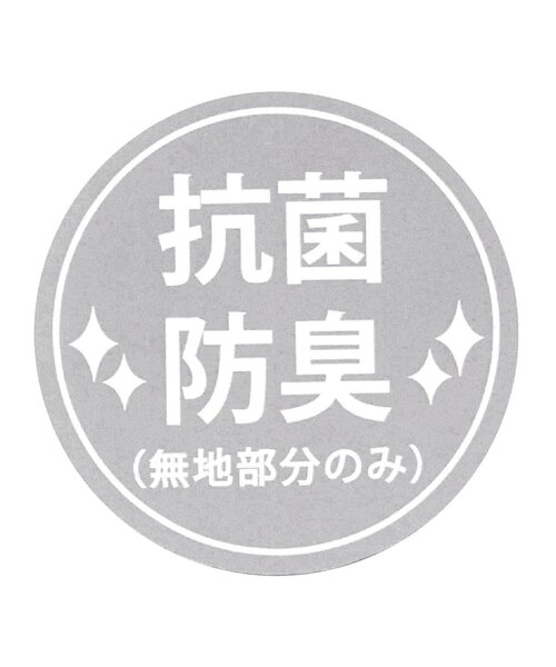 日本ペイント 3010786 nax アドミラアルファ 037 シャニングシルバー荒