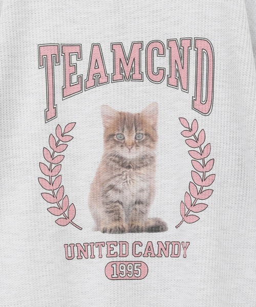 「Candy Stripper」 半袖カットソー 2 グレー レディース_画像4