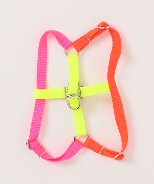 犬 ハーネス リード NEON COLORBLOCK HARNESS | WARE OF THE DOG | 11