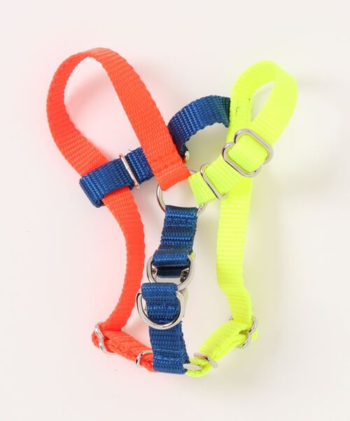 犬 ハーネス リード NEON COLORBLOCK HARNESS | WARE OF THE DOG | 09