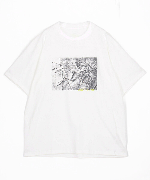 ARC'TERYX（アークテリクス） tシャツ 販路限定 クラッグ コットン