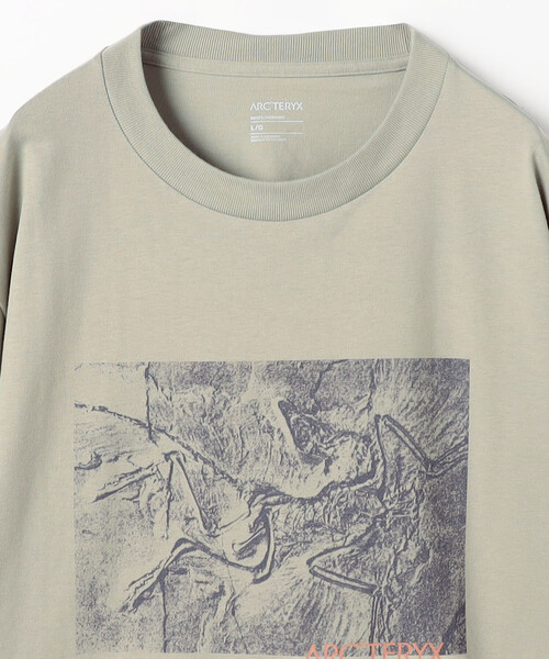 ARC'TERYX（アークテリクス） tシャツ 販路限定 クラッグ コットン