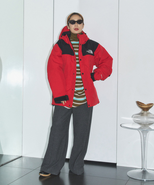 THE NORTH FACE（ザ ノースフェイス） ダウンコート ダウンジャケット