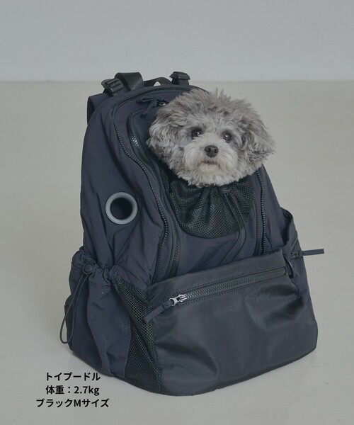 【新品】未使用 MATIE ペットリュック Lサイズ 犬用 リュック ブラック LOWELL things（ロウェル シングス） ペットキャリー 「MATIE」ペット