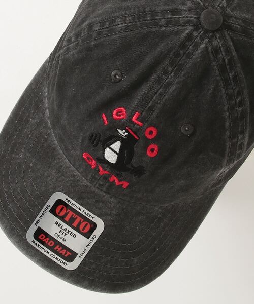 キャップ 帽子 BIG WAVE ペンギン ジム メンズ レディース : ZOZOTOWN